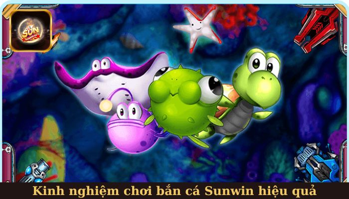 Chia sẻ kinh nghiệm chơi bắn cá Sunwin hiệu quả cho người mới